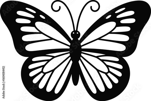 Black butterfly with white wing patterns insect wings