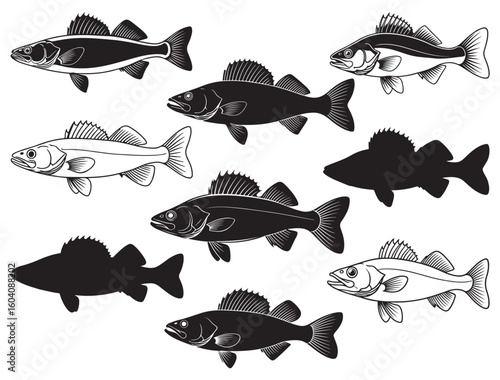WALLEYE FISH SILHOUETTE