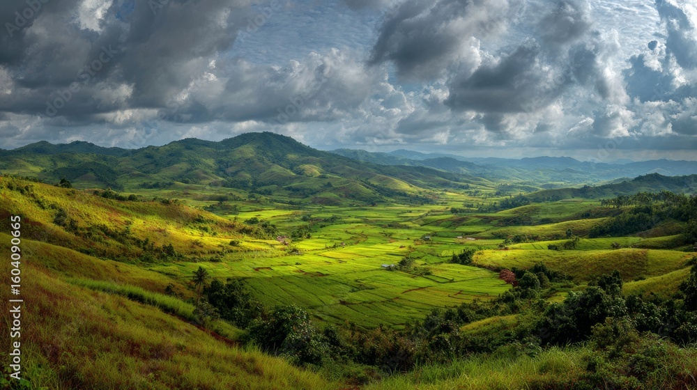 panoramic landscape of green fields for background panoramic landscape of green fields for background