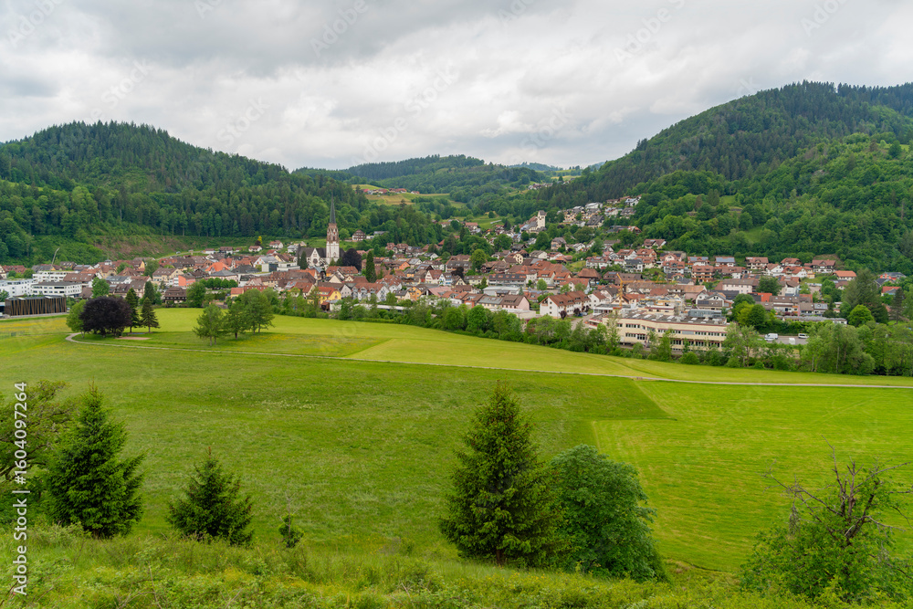 Fototapeta premium Around Schönau in the Black Forest