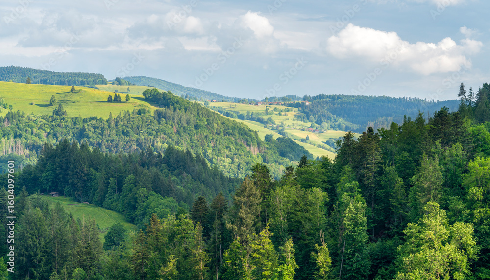 Obraz premium Around Schönau in the Black Forest