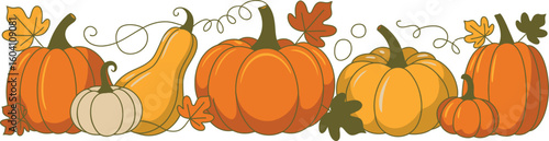 Cartoon Pumpkins and Gourds with Leaves and Vines orange
