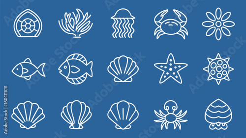 Collection of simple line art icons of sea creatures and shells clipart set