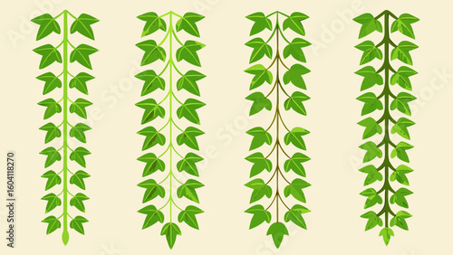 Green Ivy Vines Variations Hanging Decor Elements creeper