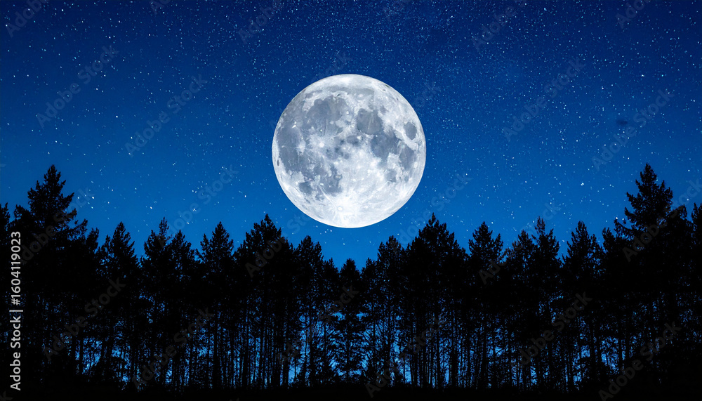 Fototapeta premium Full moon shining brightly over dark blue night sky filled with stars above silhouetted pine tree forest, creating peaceful and serene natural scene