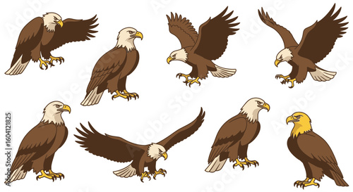 Various poses of eagles in illustration style with detailed features  