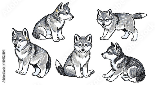 Five playful husky puppies in various poses and expressions  