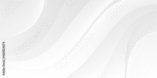 abstract white background with smooth decorative swirl lines flowing