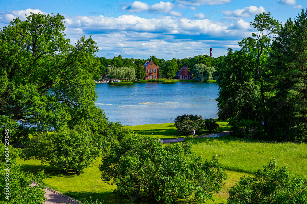 Fototapeta premium lake in the park