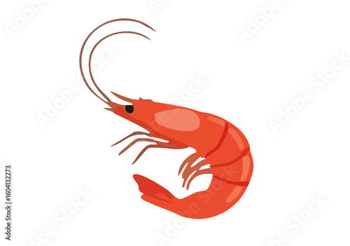 crayfish on white background