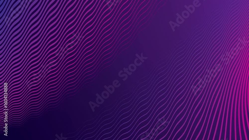 Purple wavy lines animation on dark gradient blue background, looping lines wave wallpaper
