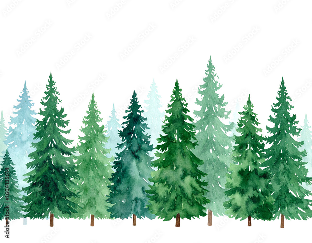 Obraz premium Green tree with thick leaves Christmas tree isolated on white background