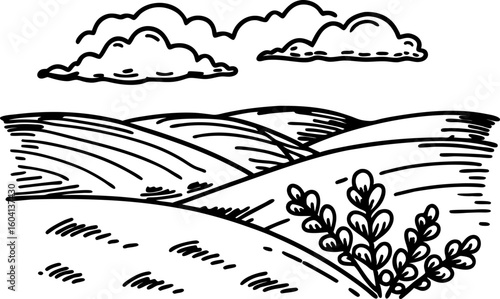 Rolling hills countryside landscape with clouds and shrub rural nature, farmland field scene illustration
