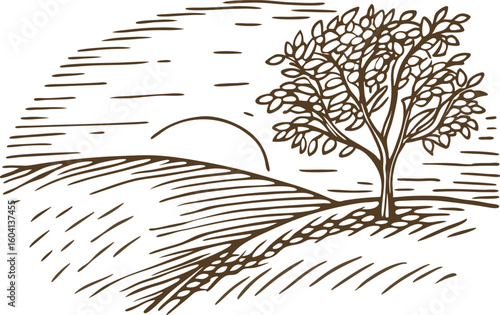 Lonely tree on hilly landscape at sunrise hand drawn nature illustration, peaceful countryside meadow, rural scene
