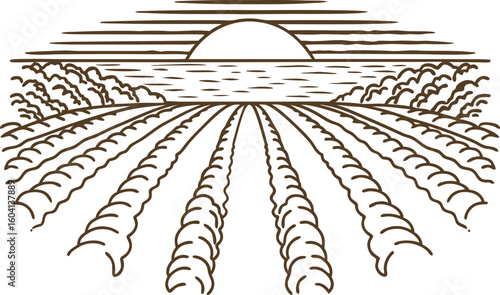 Sunrise over cultivated farmland with neatly plowed rows and distant trees scenic rural agriculture landscape illustration