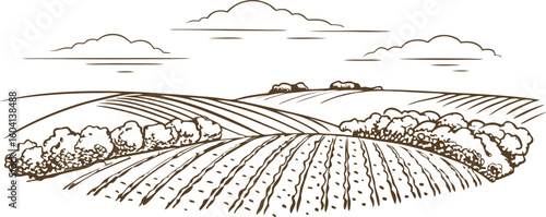 Rolling farmland landscape illustration countryside fields, cultivated crops, rural horizon, trees and clouds scenery