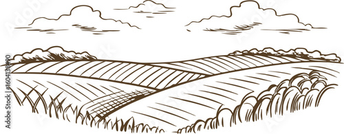 Rolling farmland landscape with fields, horizon, clouds, and rural nature scene in hand drawn line art