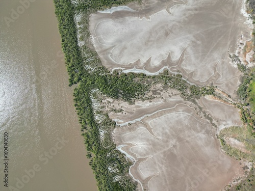 Tidal green and grey coastline