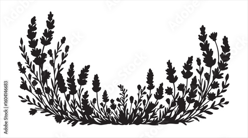 hand-drawn ornament showcasing wildflowers, lavender, branches, plants, and herbs, including leaves, flowers, and field grass, creating decorative design elements.

