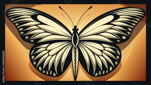 butterfly on black background