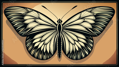 butterfly on a white background