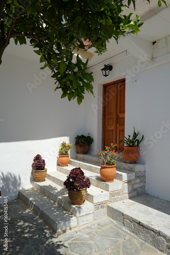 Lardos Monastery Entrance with White Walls, Brown Door, and Potted Plants