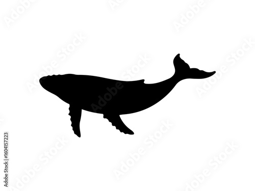 Humpback whale silhouette vector flat illustration design.