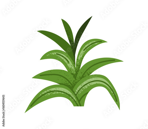 Green foliage plant. Leaf bush with fresh tropical leaves, natural verdure. D...