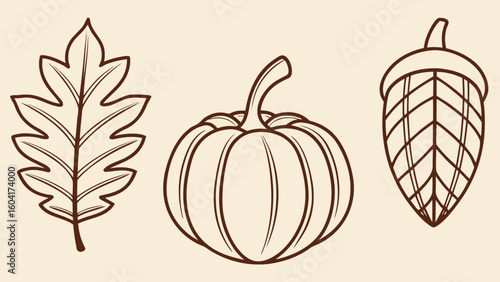 Autumn elements Collection of autumn leaves pumpkins and acorn  Clipart illustration set