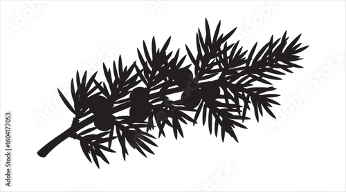 Juniper. Silhouettes Vector art, design elements on a white background

