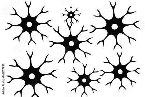 Black and White Illustration of Multiple Neuron Cells with Dendrites, Cell Bodies, and Nuclei