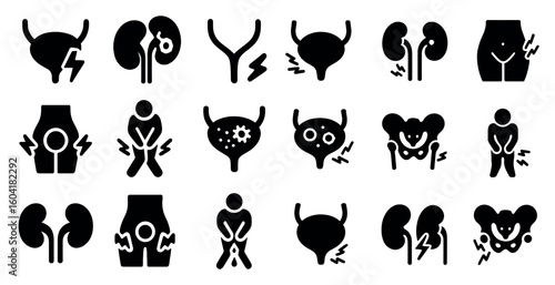 Urology and bladder solid icons set – kidney, silhouette, urinary health symbols
