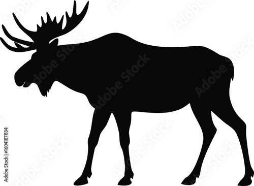 Black Silhouette of a Large Male Moose Standing on a White Background
