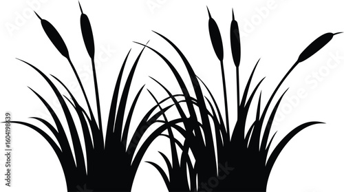Cattail Silhouette Black and White of Plants with Grass Blades Illustration