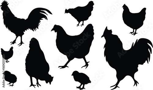 Hen Silhouette Bundle Design on White Background