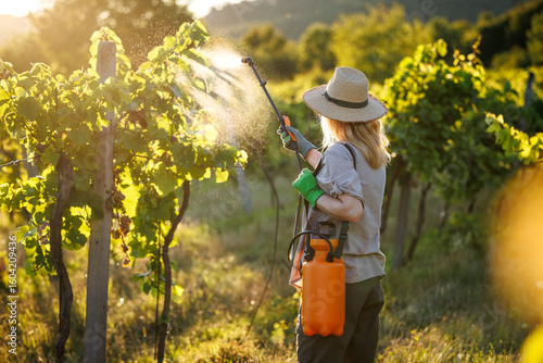 Photos Woman farmer using crop sprayer in vineyard at sunset, applying pesticide at grapevine for sustainable plant protection