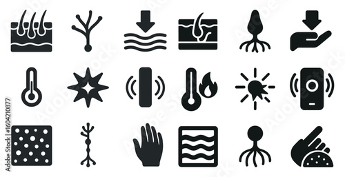 Hair and scalp solid icons set – filled, dermatology and hair care symbols
