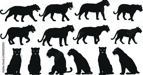 Panther silhouette vector set, wild cat walking and sitting poses, black panther clipart, sleek feline animal icons collection.