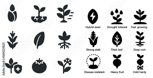 Plant growth solid icons set – filled, agriculture, gardening elements