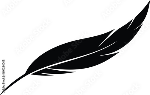 Silhouette of an Elegant Black Feather on a White Background, Curved Shape