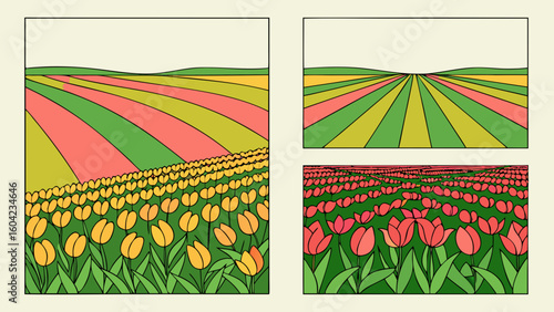 Aerial View Tulip Fields Yellow Red Green Stripes tulips