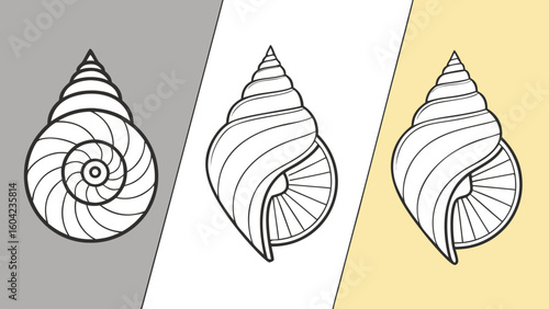 Three Spiral Snail Shell Variations Line Art Gray Yellow Background