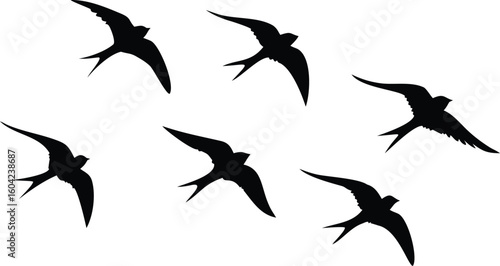 Silhouette of Seven Graceful Swallows Flying Against a White Background, Bird Design