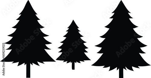 Silhouette of Three Evergreen Trees with a Conical Shape Isolated on White Background