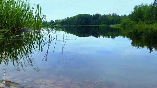 Landscape of a summer, daytime lake with forest.