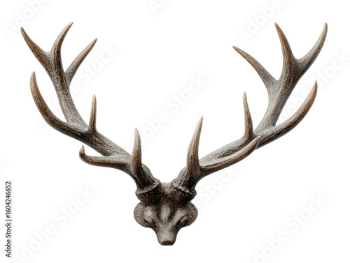 Forest home decor majestic deer antlers showcasing natural beauty. Isolated on transparent background, png.