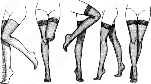 vector female leg in stockings lines on white background