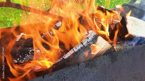 Close-up of burning firewood on barbecue outdoors in sunny weather.