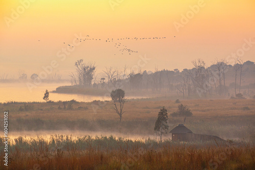 Early morning at a bird hide on the edge of a lake