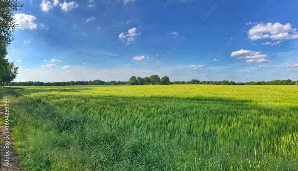 Vast panorama of a lush green field under clear blue sky Vast panorama of a lush green field under clear blue sky